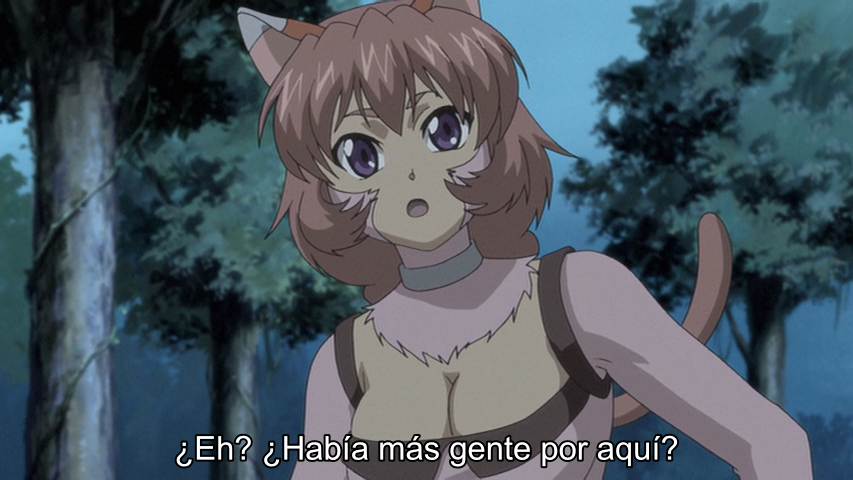 .hack//G.U. Returner (Fansubber)